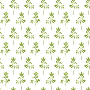 PARSLEY TEA TOWEL