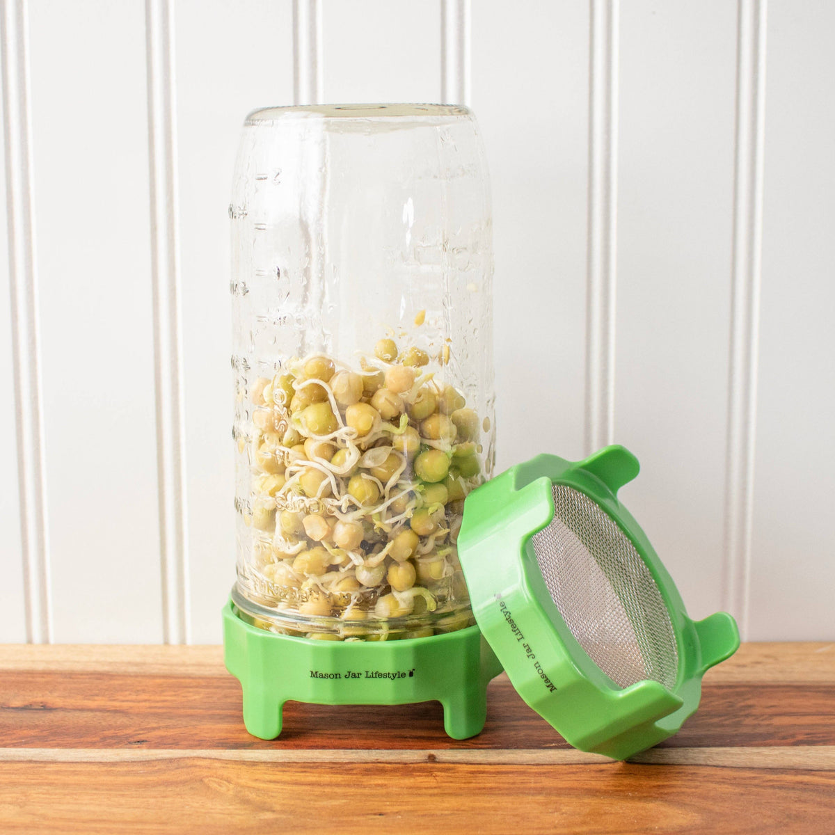 RUST PROOF SPROUTING LID WITH MASON JAR