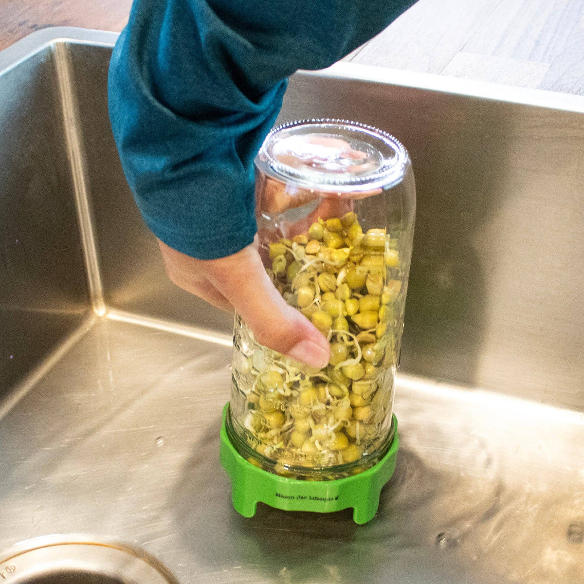 RUST PROOF SPROUTING LID WITH MASON JAR