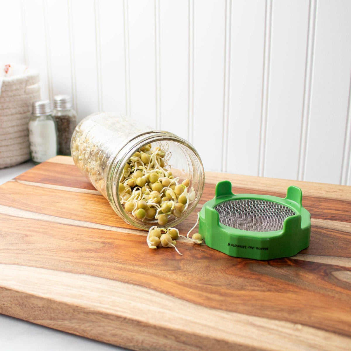 RUST PROOF SPROUTING LID WITH MASON JAR