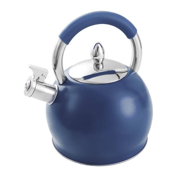 STAINLESS STEEL BLUE WHISTLING KETTLE WITH SILICONE HANDLE