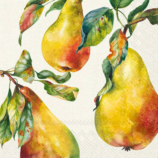 Paper Cocktail Napkin 20 Ct Home Grown Pears Fall Autumn