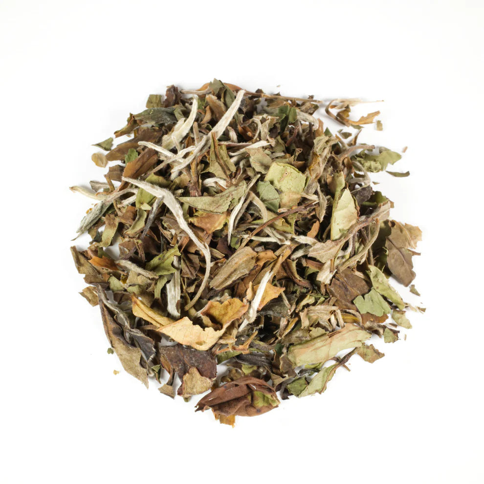 LITTLE RED CUP TEA POUCH WHITE PEONY .7 oz